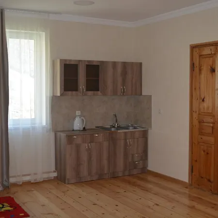Ekaterine Guest House Kazbegi Exterior photo